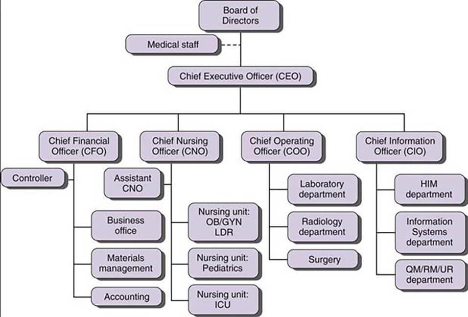 Sample organizational chart including chief nursing officer